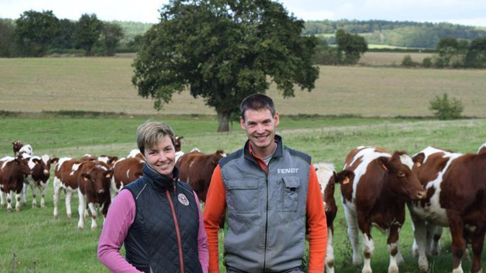 Charlotte et Pierre Debosque ont misé sur la race locale rouge des prés. Sa viande bénéficie de l’AOP Maine-Anjou. © A. Mabire